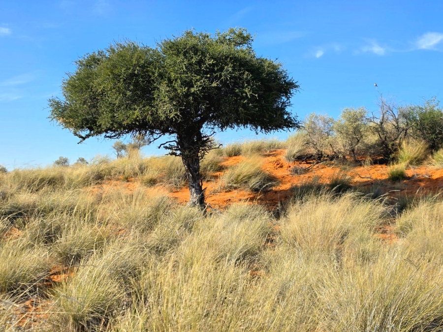 Commercial Property for Sale in Upington Rural Northern Cape